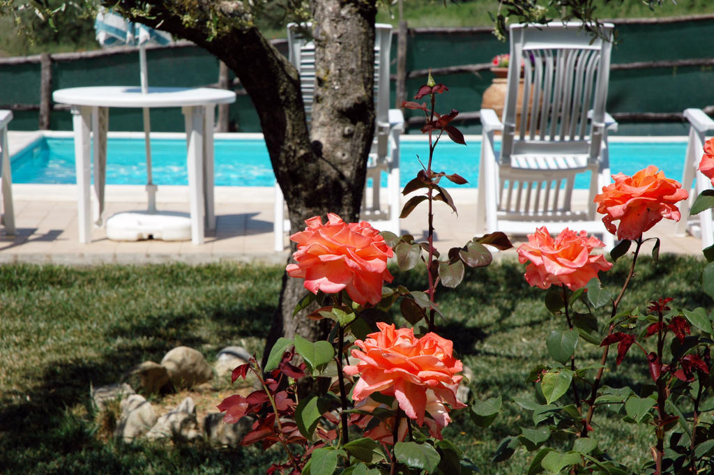 Casale Il Colle Deruta Villa ภายนอก รูปภาพ
